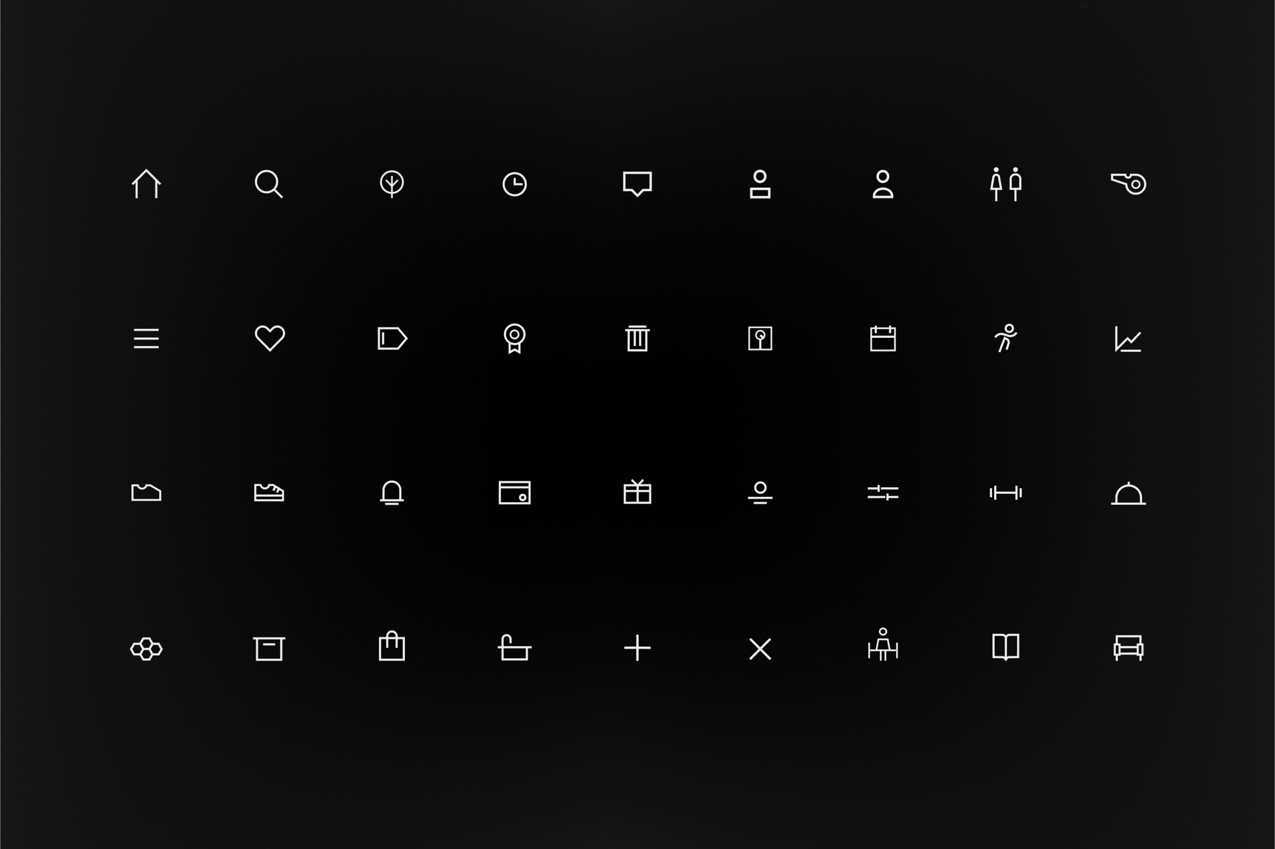 monalifta-elite-coaching-dubai